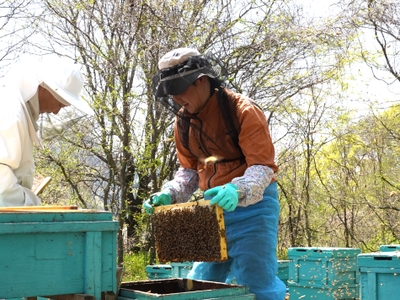 AsfYN9MOEy2Ndk7sjChb.JPG?w=940&h=940