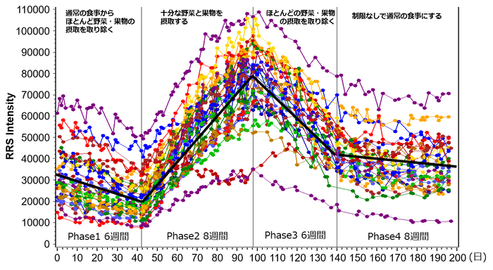 ベジメータ　イメージ
