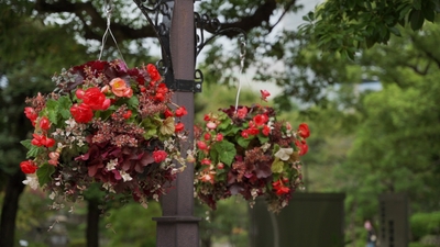 AspY3YbAC7IQ9Xe15phw.jpg?w=940&h=940