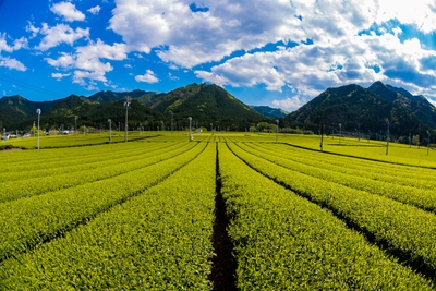 At30MzSvfup7fZNUm0rA.jpg?w=940&h=940