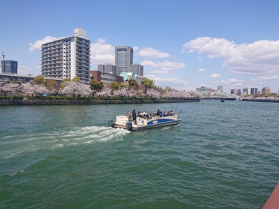 AuG9bodmMqHv6lnttmK4.jpg?w=940&h=940