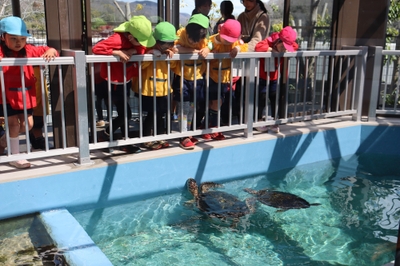 AuMj7t6BA48NAAaaZMFo.jpg?w=940&h=940