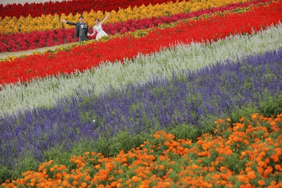 ロケ地：四季彩の丘