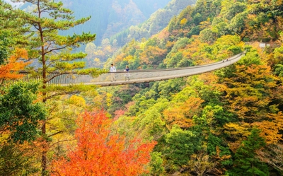 AwdjvnBPprgf0bmxsaIK.jpg?w=940&h=940