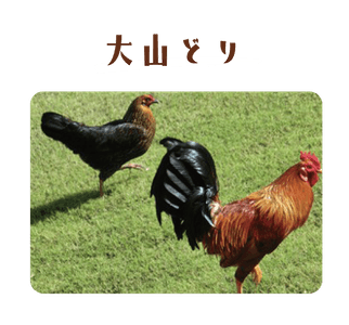 AxECPwh0SninIP51LVlY.png?w=940&h=940