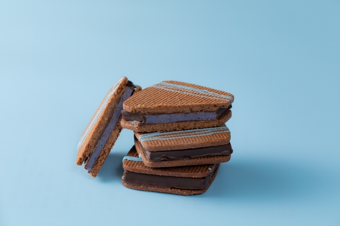 ショコラサンド～浜松ブルーベリー～