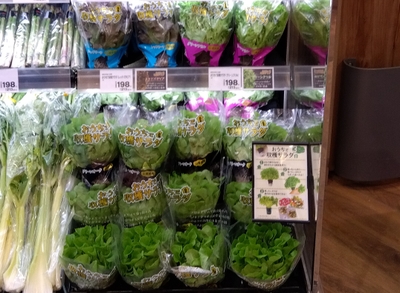 AyM4JCyC0Ve9c60tkFwd.jpg?w=940&h=940