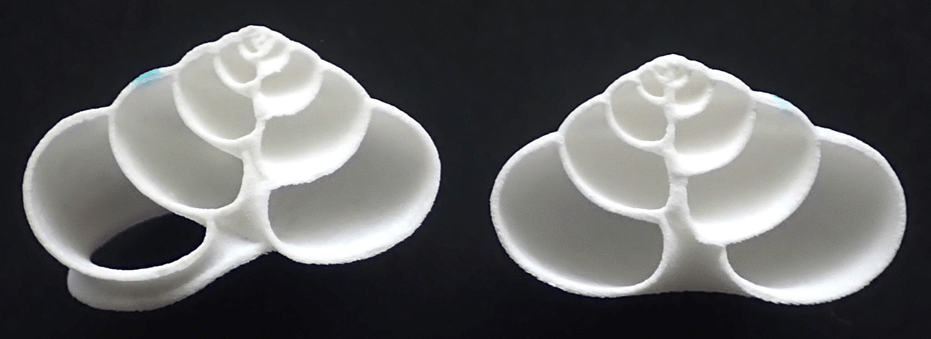 図2 プラスチック製人工殻の断面(左半分と右半分)