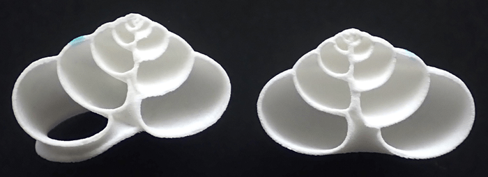 図2 プラスチック製人工殻の断面(左半分と右半分)