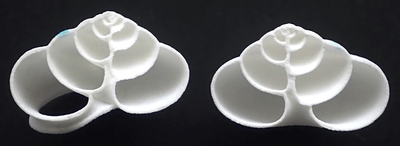 図2 プラスチック製人工殻の断面（左半分と右半分）