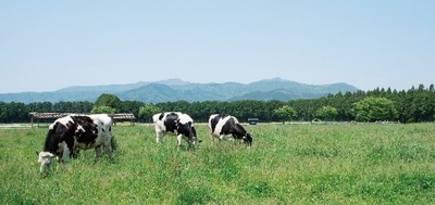 AzLyv39E4evXyDbNWnkD.jpeg?w=940&h=940