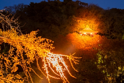 B0UeGvgGxTSeFKQ5WvW4.jpg?w=940&h=940