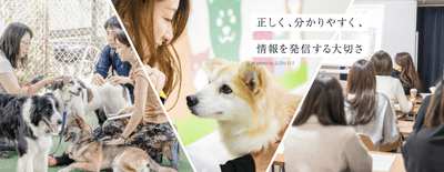 B16u2QfOGJ9ZJyAlfkD2.png?w=940&h=940