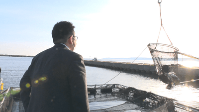 B1Xge9uMfJX8BU5gmKLP.png?w=940&h=940