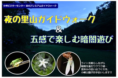 B1i4LEVGByZptJ7403o9.jpg?w=940&h=940