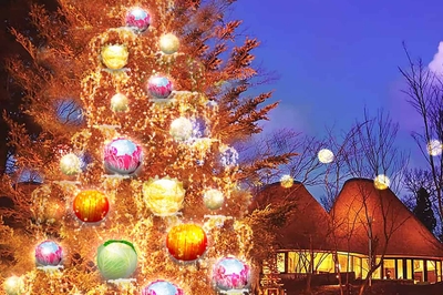 B2HEFolCIMfbyBUm2uYg.jpg?w=940&h=940