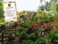 B2NPRtEgobzFtLdMkPOA.jpg?w=940&h=940