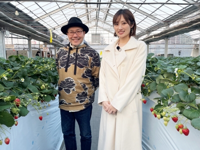 B2U3aQyM0oQZnIQjTbQM.jpg?w=940&h=940