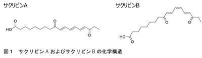 B3CkB0vFmzvWuB6sogCr.png?w=940&h=940