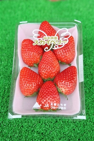 栃木県産いちご「スカイベリー」
