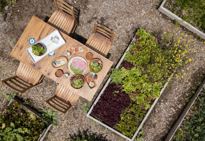 ランチイメージ