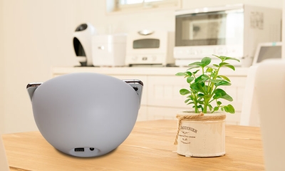 B7T0seK3oxwOnq4OB6B2.jpg?w=940&h=940