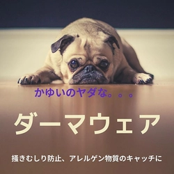 愛犬用🐾着るスキンケア『DERMA WEAR（ダーマウェア）』