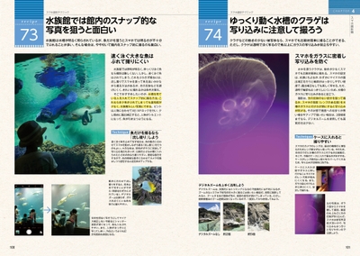 B8s746tl7U4fdANmfsvg.jpg?w=940&h=940