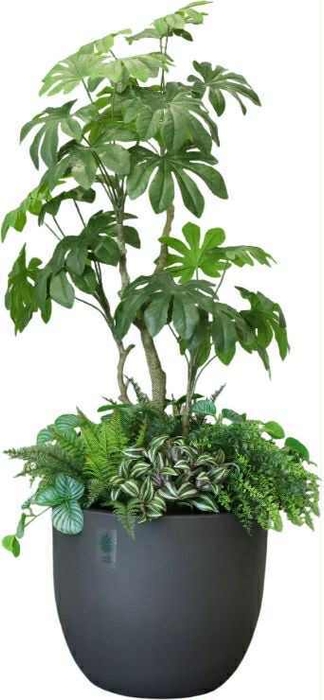 防災課長木下そなえ(1)