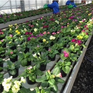 BB4kn67xOtmD4uQrpTTs.jpg?w=940&h=940