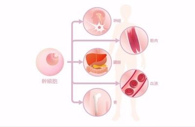 BC9cVY4GhYTXa7R1Io8I.jpg?w=940&h=940