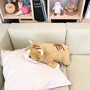 BDFh22EvyhZ3GOCqs7Bp.jpg?w=940&h=940