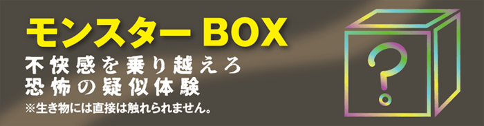 モンスターBOX