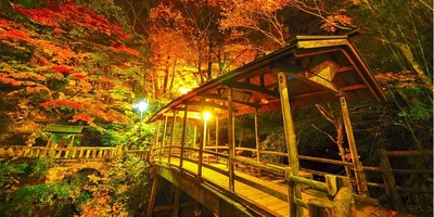 BEboaU6cuipzaiD00mJz.jpg?w=940&h=940