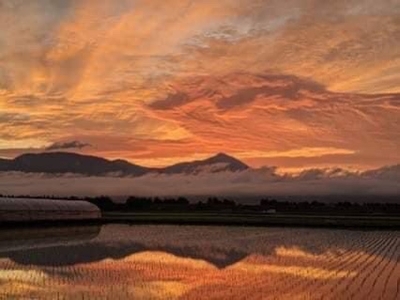 BG1kKDjctTSfcEL92Mwr.jpeg?w=940&h=940