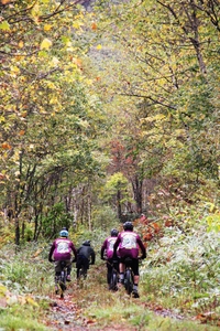 BIk1QmdiwMHcDWUIW8JP.jpg?w=940&h=940