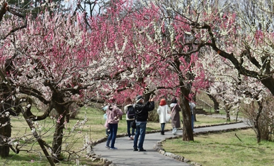 神代植物公園「春の催し～東風吹(こちふ)かば 春を愉しむ～」開催