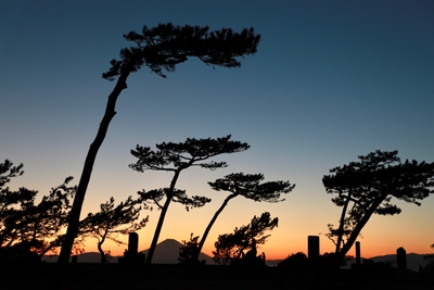 BLYSv0s0qfbv67qOJiz5.jpg?w=940&h=940