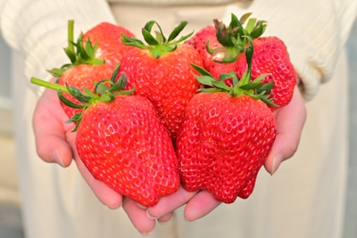 BLm93etGKkBraoaPbdlk.jpg?w=940&h=940