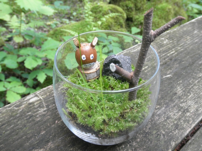 作品例 こけテラリウム