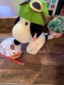 BOWnAiAJVYvsOiAgosZE.jpg?w=940&h=940