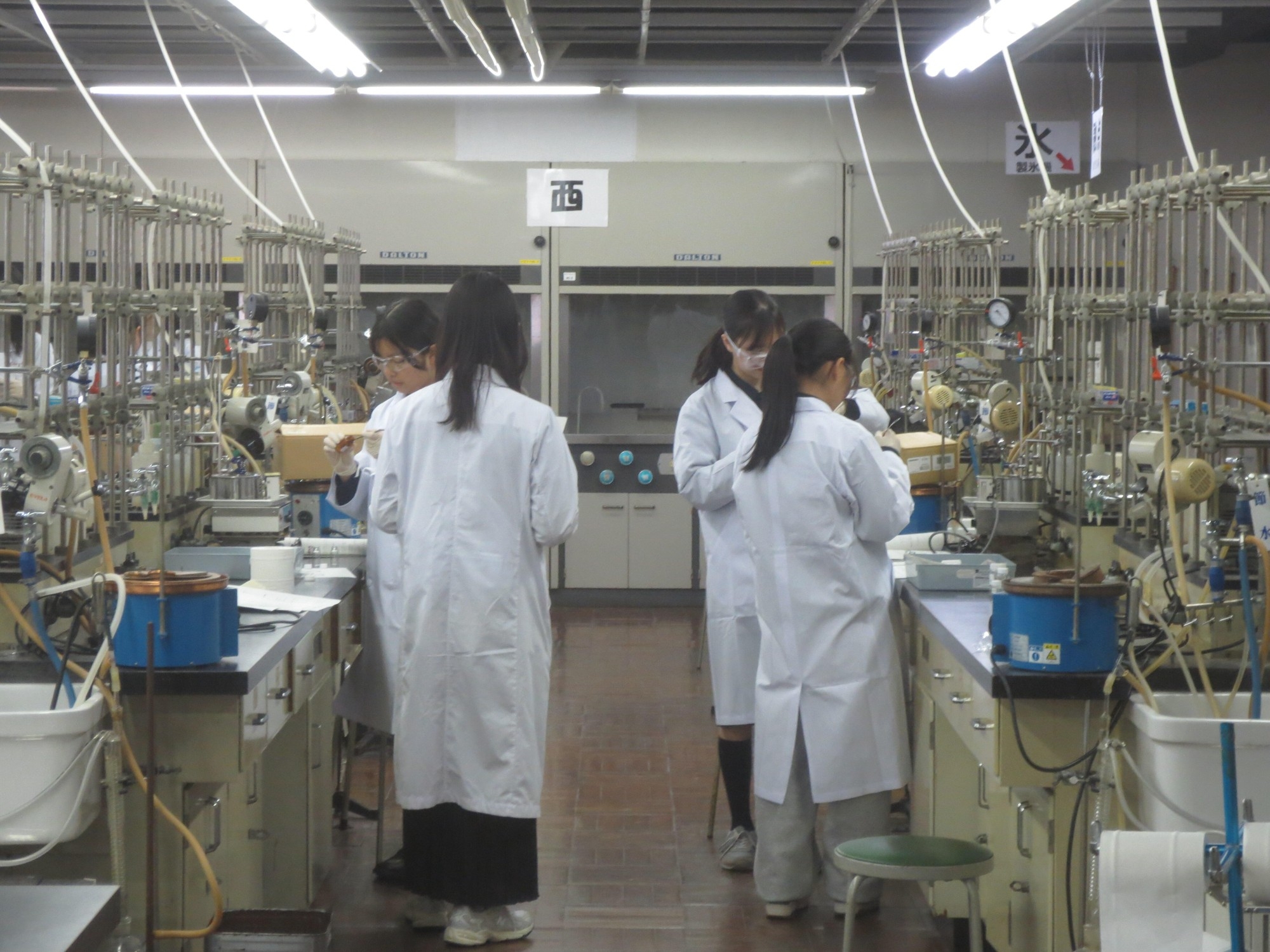 実験に取り組む参加者たち