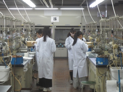 実験に取り組む参加者たち