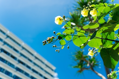 BQMFtciwM6VOERb9vy3H.jpg?w=940&h=940