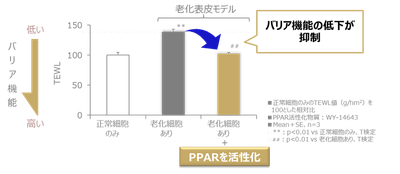 図3 PPARの活性化により肌のバリア機能低下が抑制される
