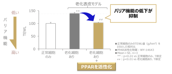 図3 PPARの活性化により肌のバリア機能低下が抑制される