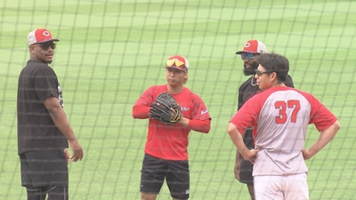 BR3AxD4skJ1UKxSAdxf6.jpg?w=940&h=940