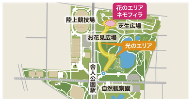 BRMdjmQGwtXnCnY9v6bI.png?w=940&h=940