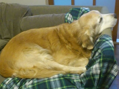 BSx9C0eUaOsN5YOAJfUR.jpeg?w=940&h=940