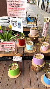 BU900uN3c0hxUYgoEY3o.jpg?w=940&h=940